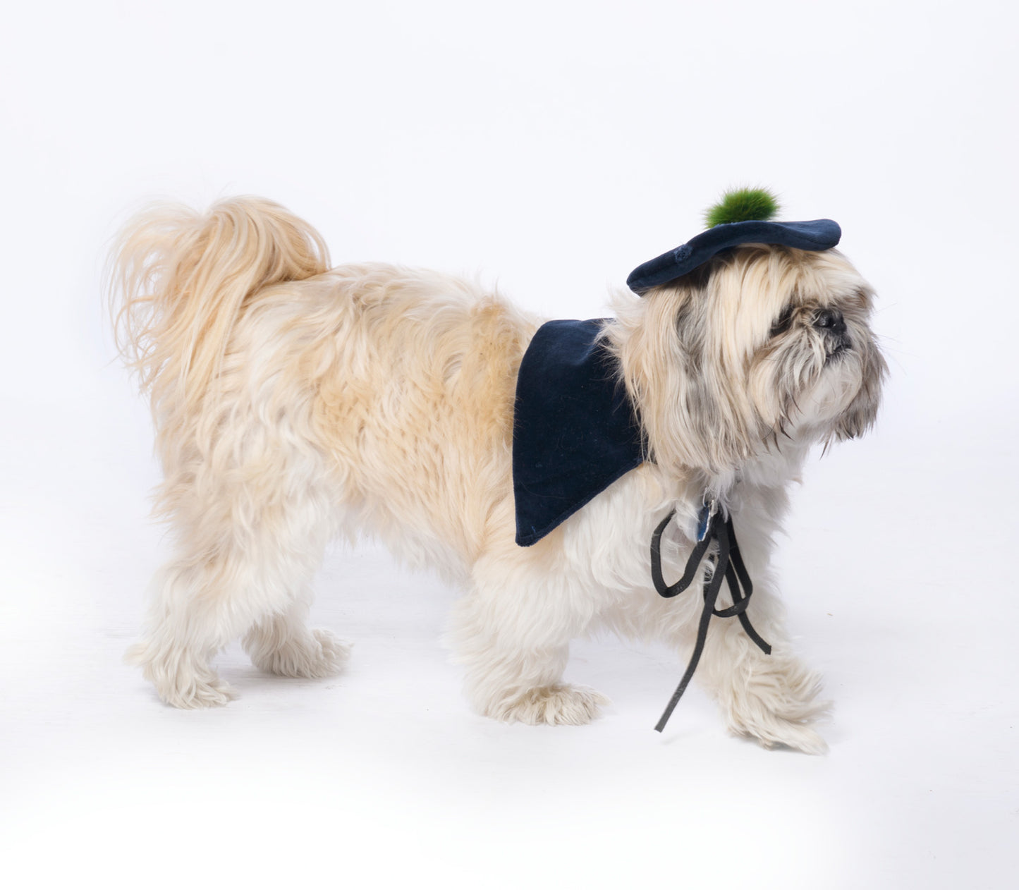 Black blue velvet hat and collar with light green fur