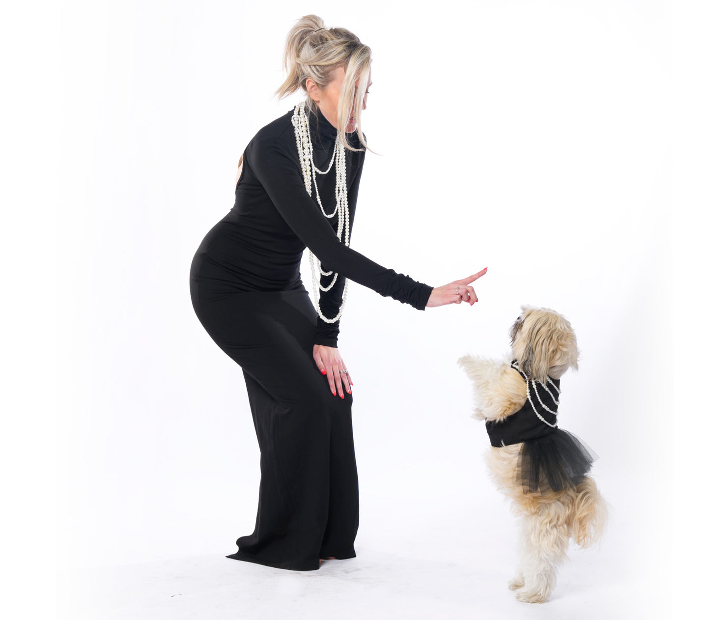 Black crepe pet dress with tulle ruffle