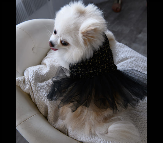 Black and gold pet dress with black tulle ruffle