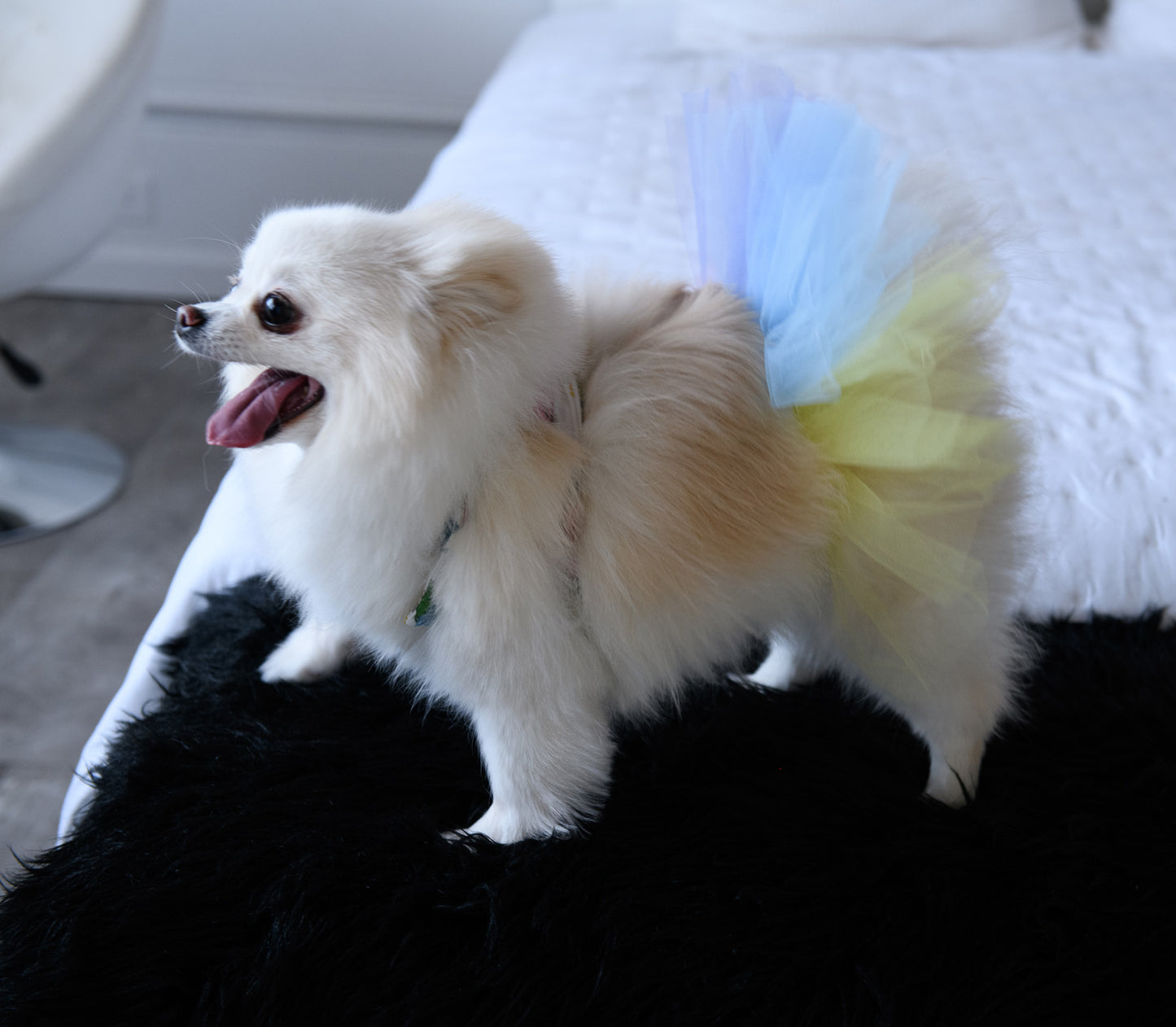 Multi color Tulle tutu for pets