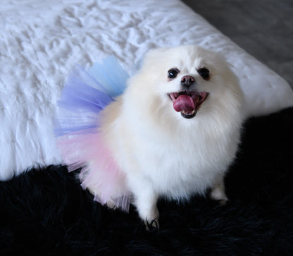 Multi color Tulle tutu for pets