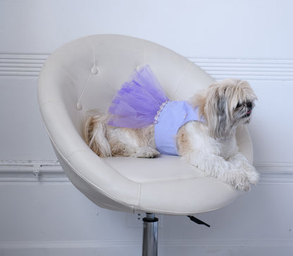 Purple pet dress with tulle ruffle